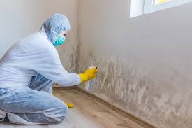 Best Emergency Mold Remediation  in Dermott, AR