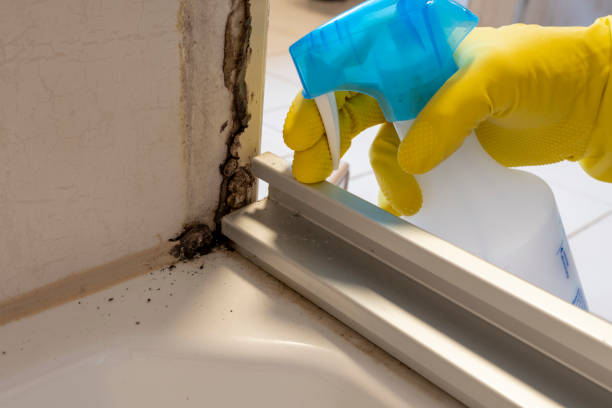 Best Environmental Consulting for Mold Prevention  in Dermott, AR