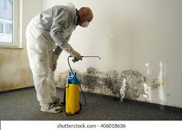 Best Mold Removal for HVAC Installations  in Dermott, AR